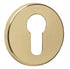 Urban Concealed Fixing Standard Key Escutcheon