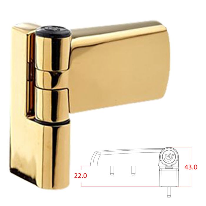 22mm Patriot Plus Flag Door Hinge